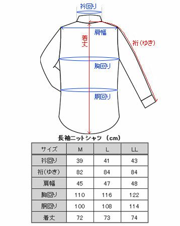 ニットシャツ 長袖 メンズ 台衿付 前開き 吸汗速乾 ボタンダウン カッタウェイ シャツポロシャツ 形態安定 ビズポロ ビジカジ カジュアル オシャレ