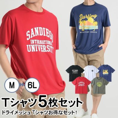 お買得な半袖Ｔシャツ５枚セット Ｔシャツ 5枚組 5枚セット tシャツ